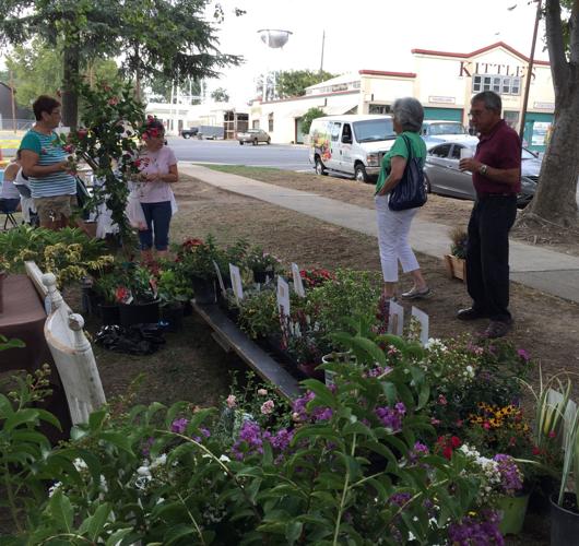 Farmers markets humming as peak production nears Colusa Sun Herald
