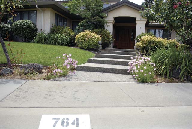 UPDATE: Y.C. woman killed by police pointed gun at officers