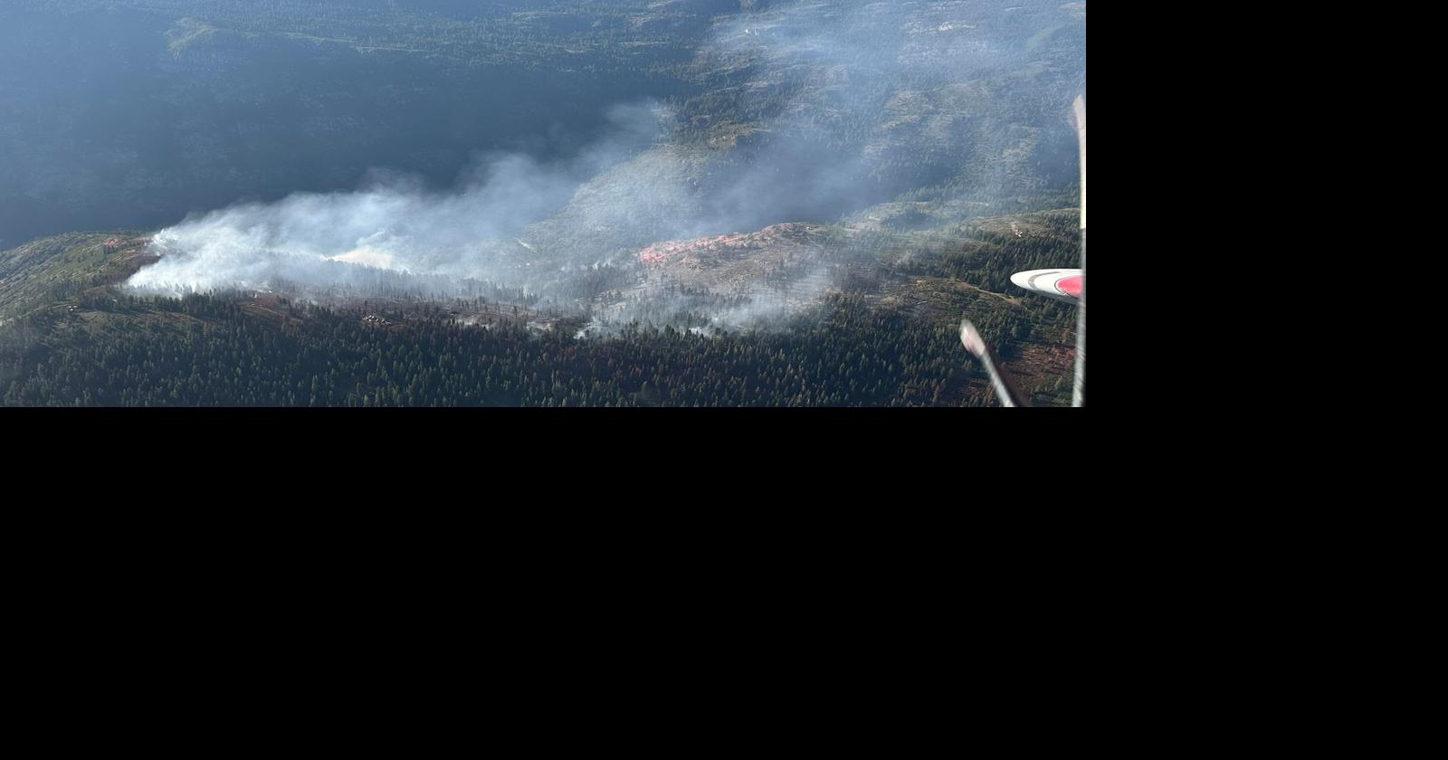 Royal Fire burns over 200 acres in Tahoe forest | News – appeal-democrat.com