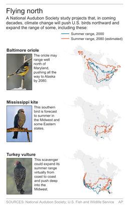 Report Global Warming Threatens Birds News Appeal Democrat Com