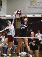 VOLLEYBALL: Willows falls to Colusa