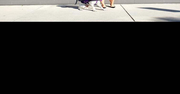 Victims advocate looks back on program expansions | News