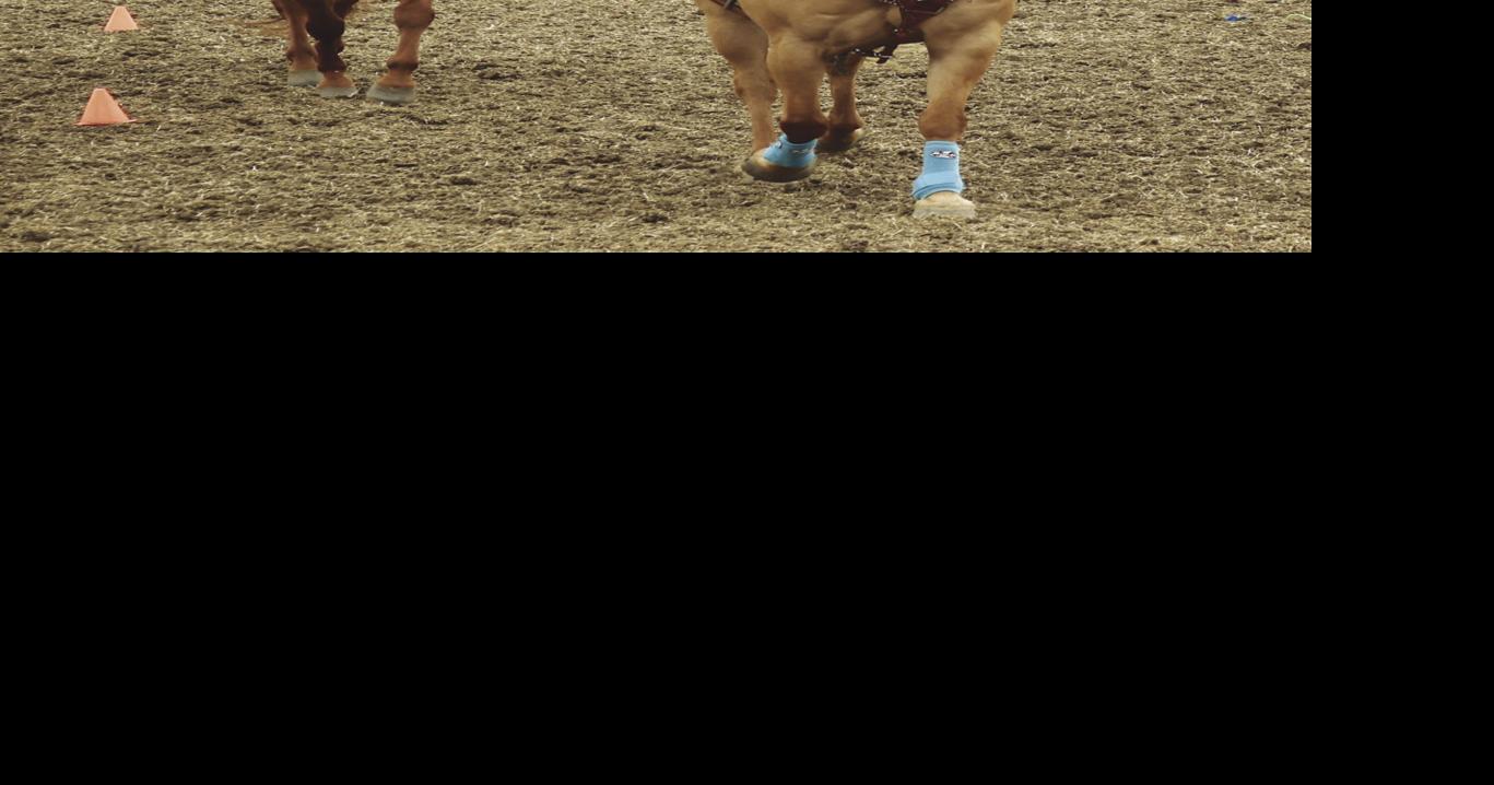 90th annual Maxwell Rodeo canceled Spotlight