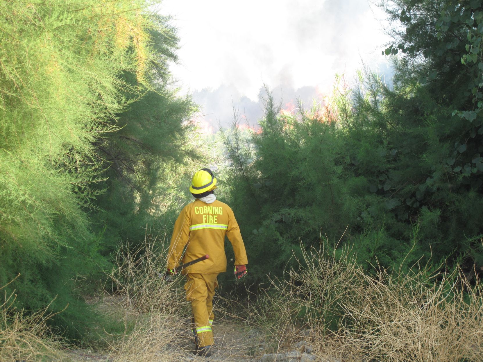 100 Acres Ablaze In Stony Creek Fire | Glenn County Transcript | Appeal ...