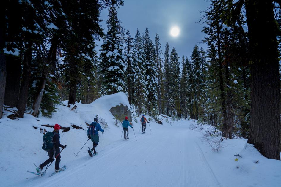 Forlorn Hope Expedition staff reaches residence | Information