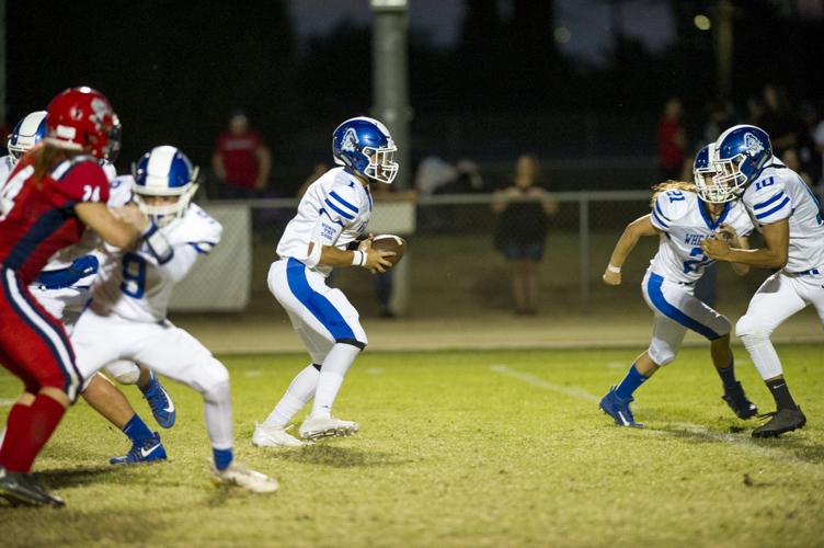 Game of the Week Pirates steer clear of Blazers Sports appeal