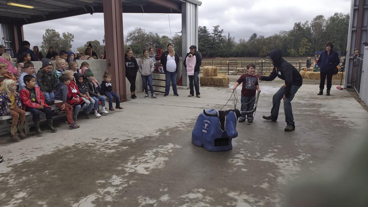 Little Farmers at the High School Farm