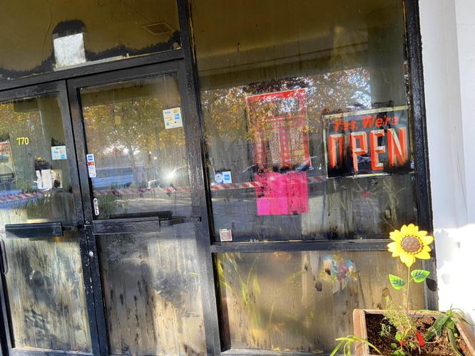 Flowers In Yuba City California Best Flower Site