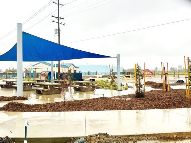 Didar S. Bains Park a work in progress Opening of Yuba City’s newest
