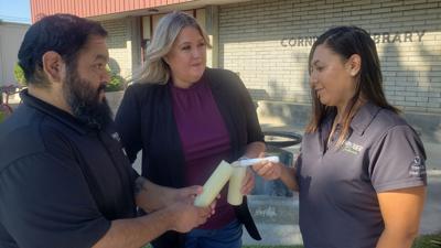 Walk to empower domestic violence victims comes to Corning | Corning ...