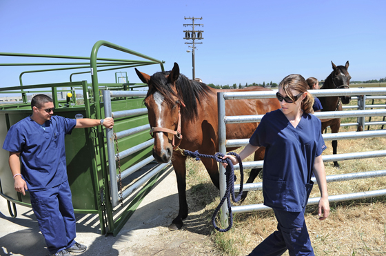 Yuba students experience benefits of collaboration | | appeal-democrat.com