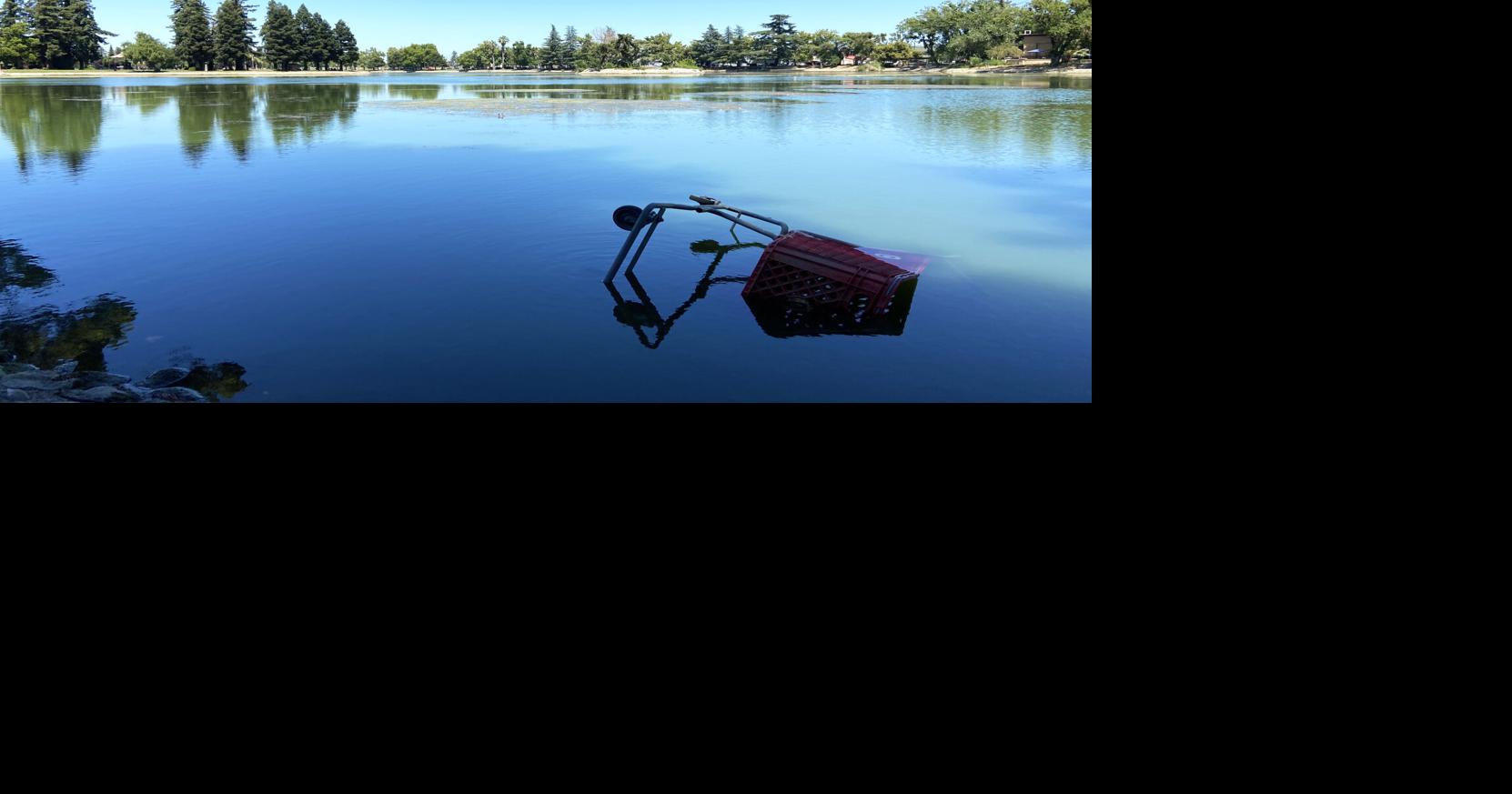Bringing Ellis Lake back to its glory days: New lakefront custodians ...