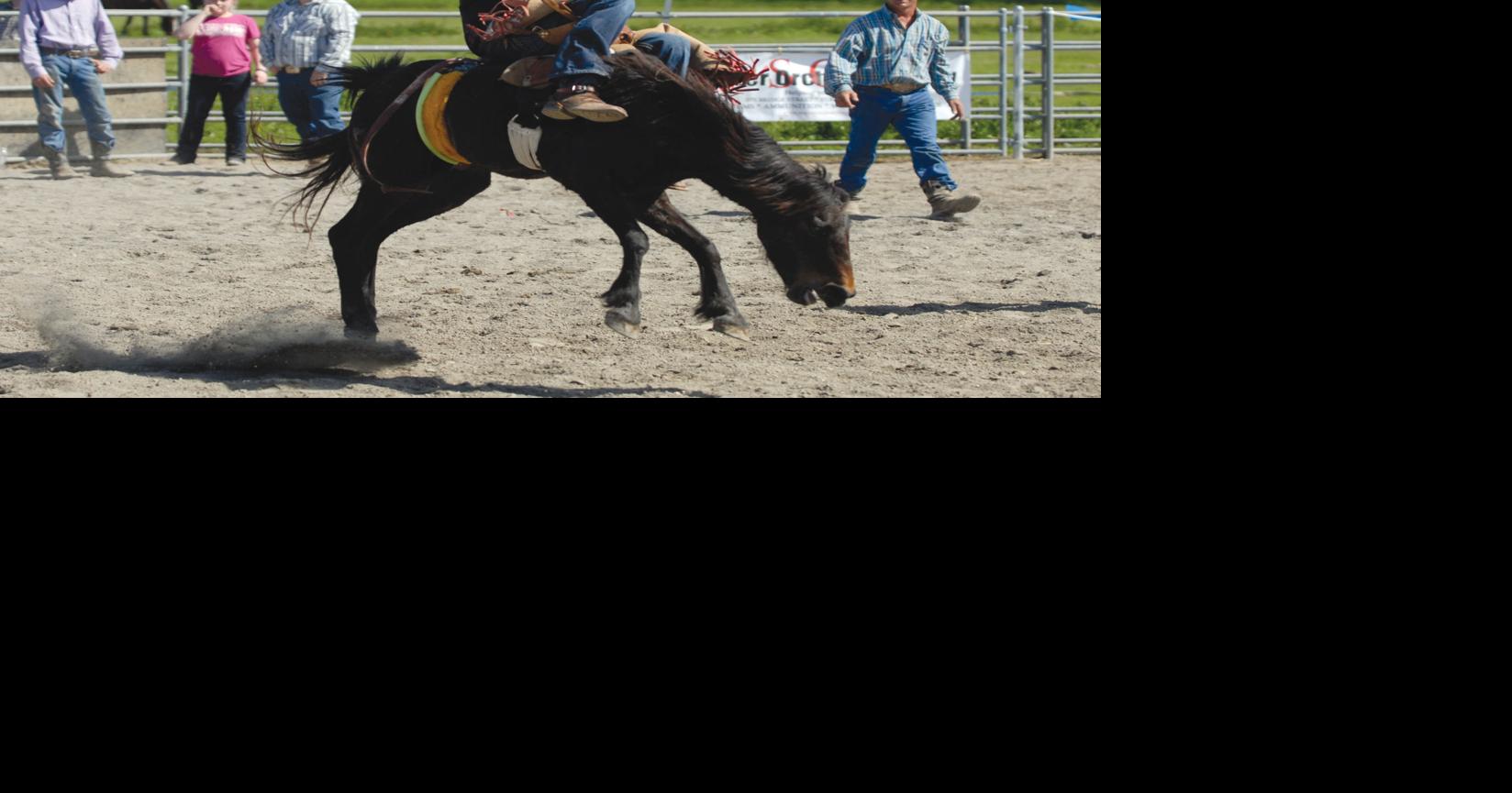 LOCAL SPOTLIGHT: School teaches Yuba-Sutter youths the basic of rodeo ...