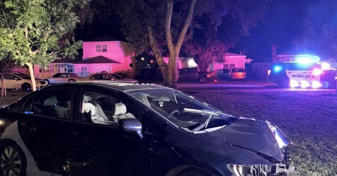 Yuba City police K-9, Rook, catches suspect who hit a fire hydrant at Lloyd Park during pursuit