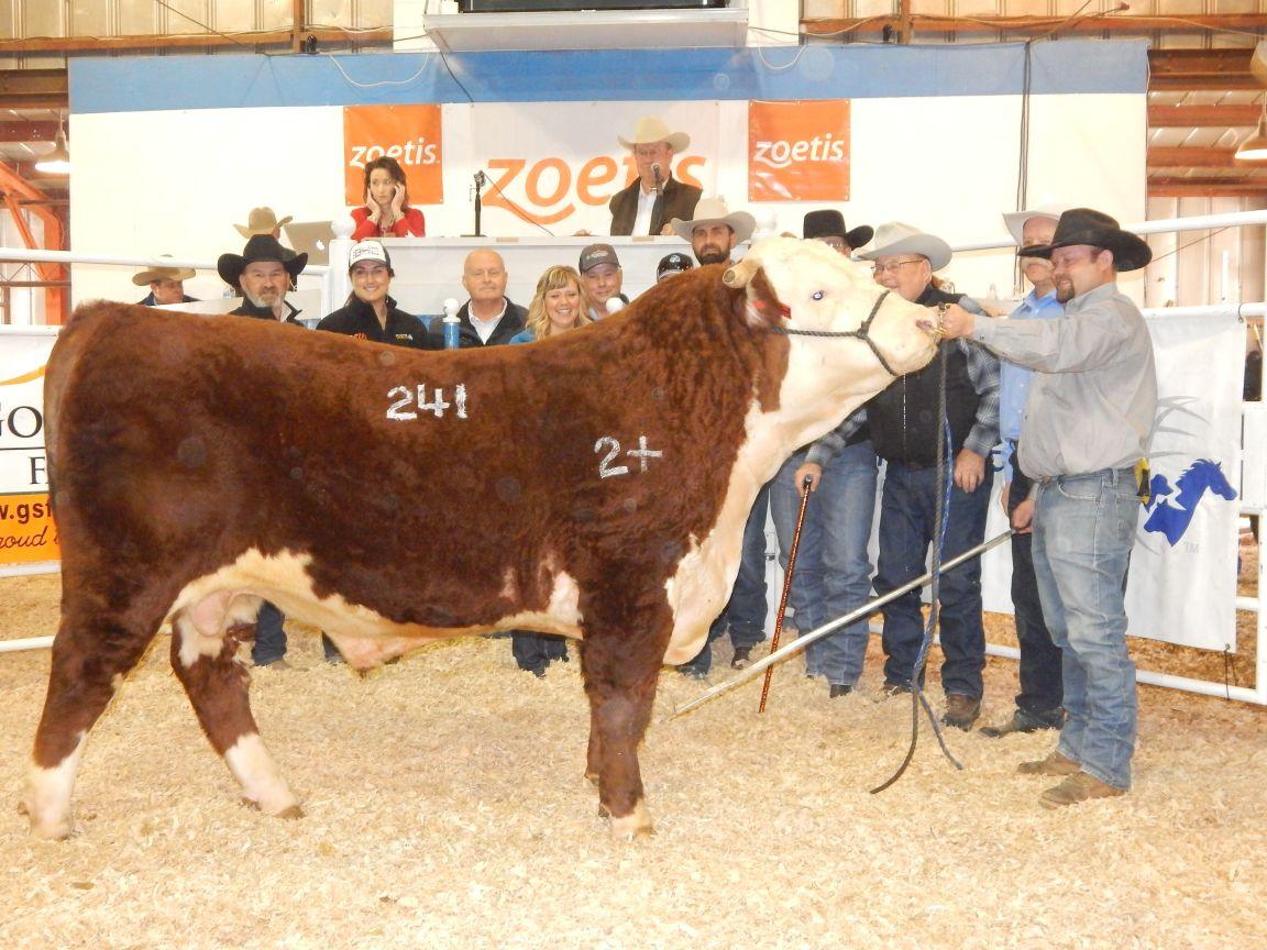 Red Bluff Bull & Gelding Sale one for the record books Corning