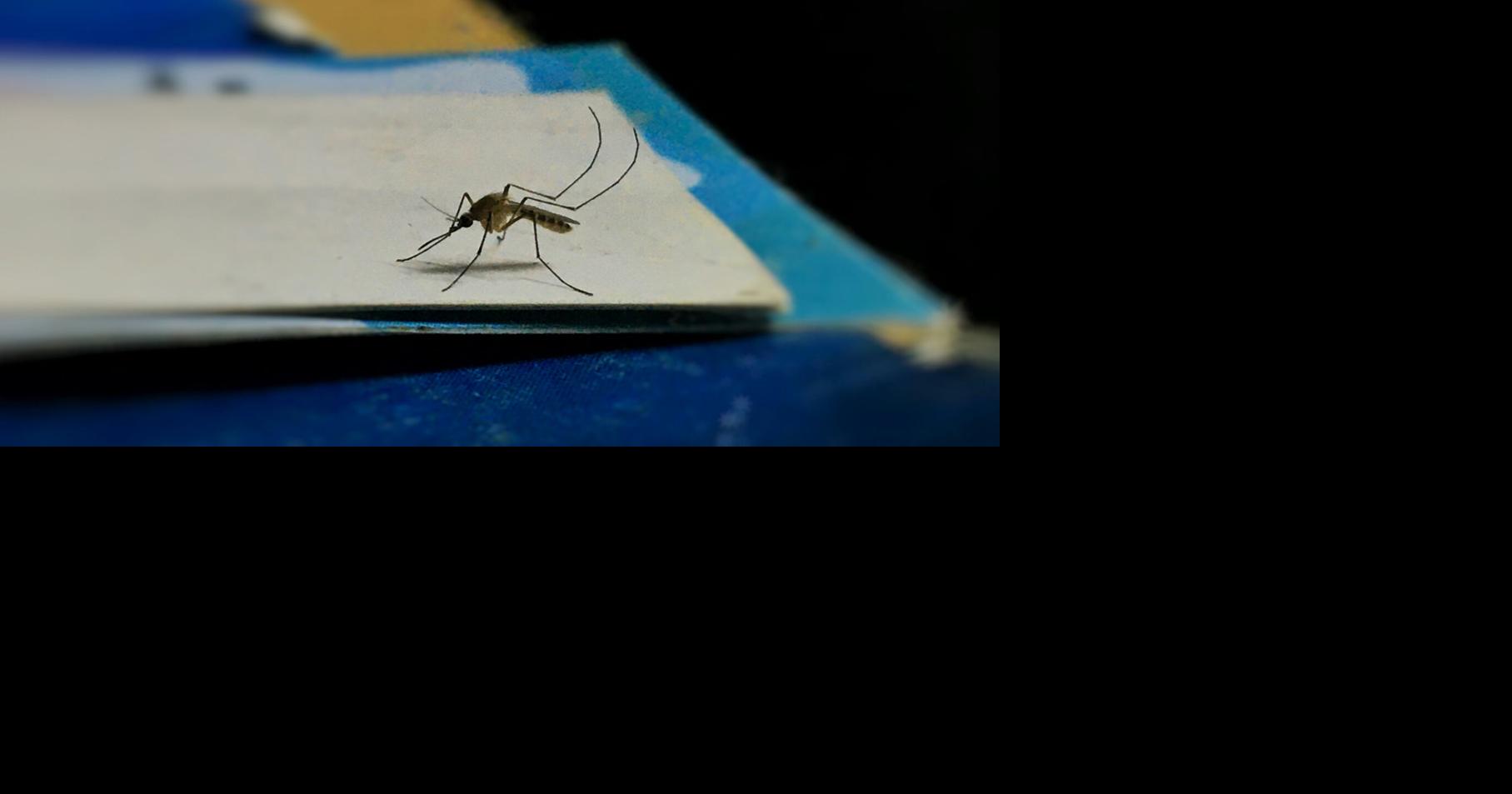 Health officials confirm human West Nile infections in Yuba and Sutter counties