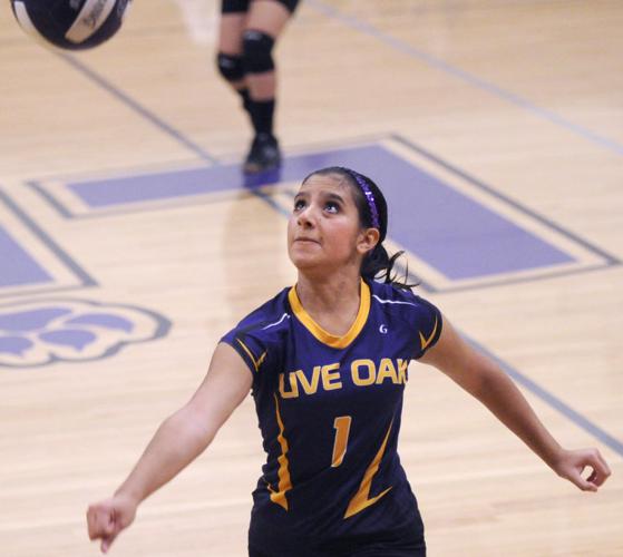 East Nicolaus at Live Oak Volleyball Photo Gallery