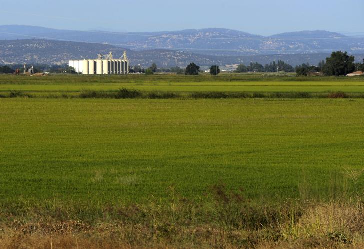 Top commodities feel effects of trade war News