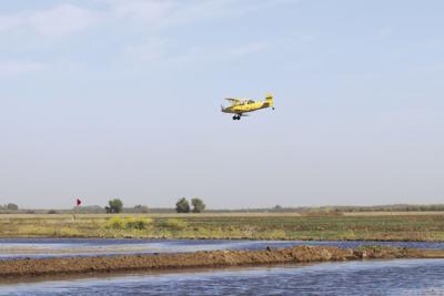 Aplan Rice Field Local rice fields being prepared, planted for season | Colusa Sun ...