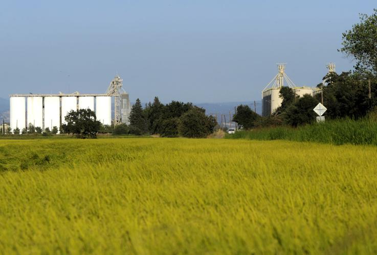 Top commodities feel effects of trade war News