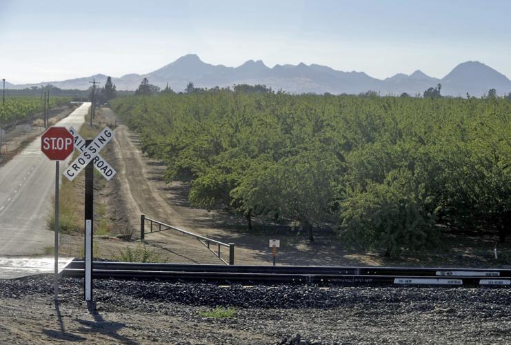 Crop prices drop 17 in Yuba County News