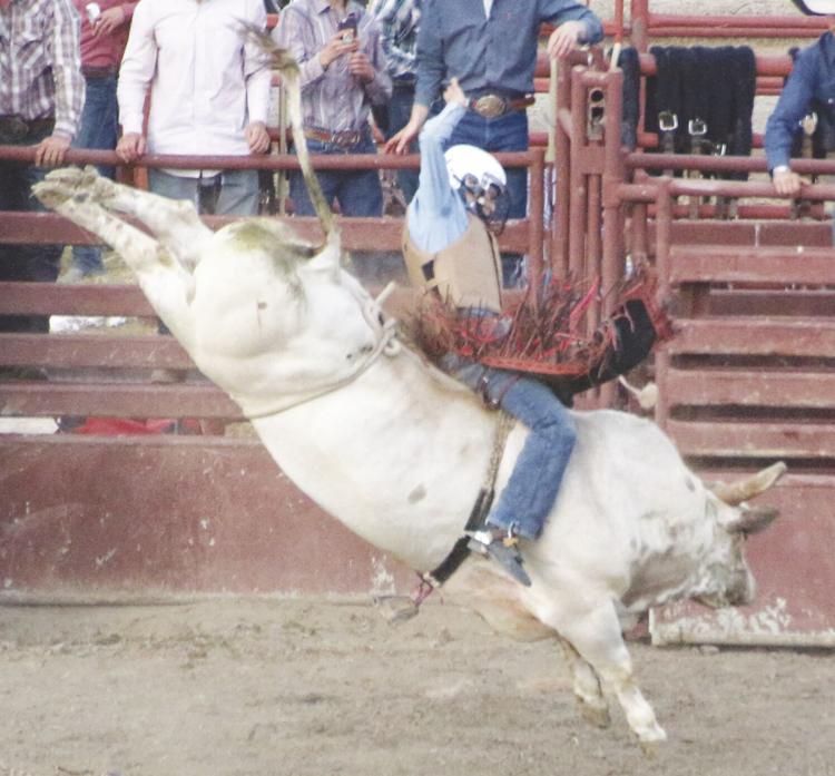 Rodeo returns to Stonyford with full stands News