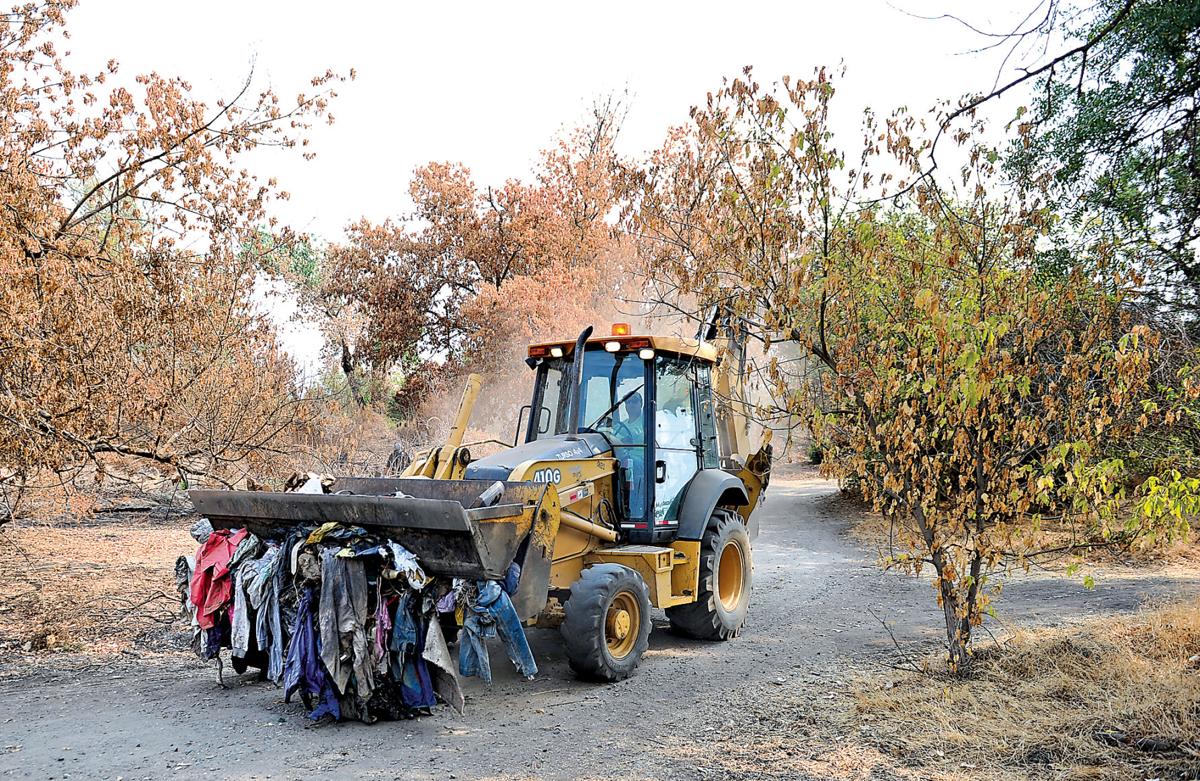 It’s a clean sweep; Students, volunteers turn out to pick up trash