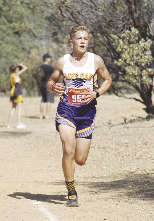 LOstateCC1125.jpg