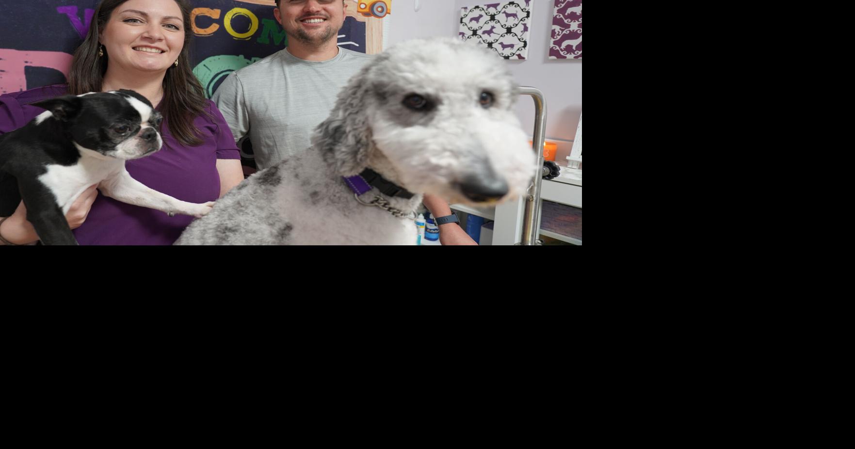 What the Fluff Pet Grooming in Plumas Lake captures cuteness | News