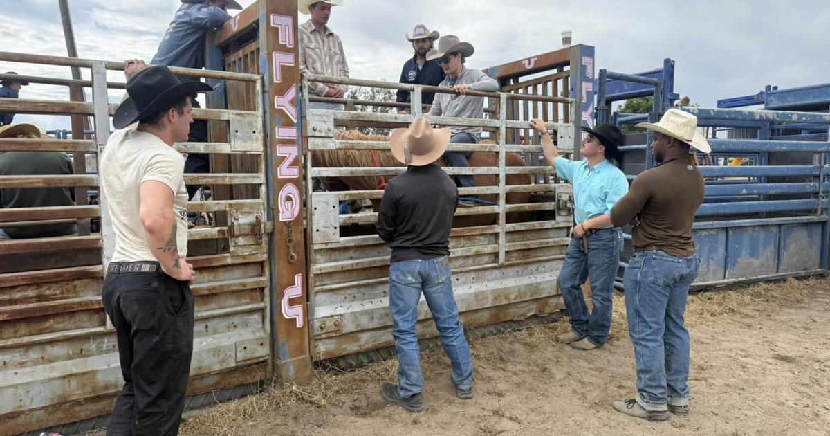 The next generation of rodeo riders are learning their trade in the Mid ...