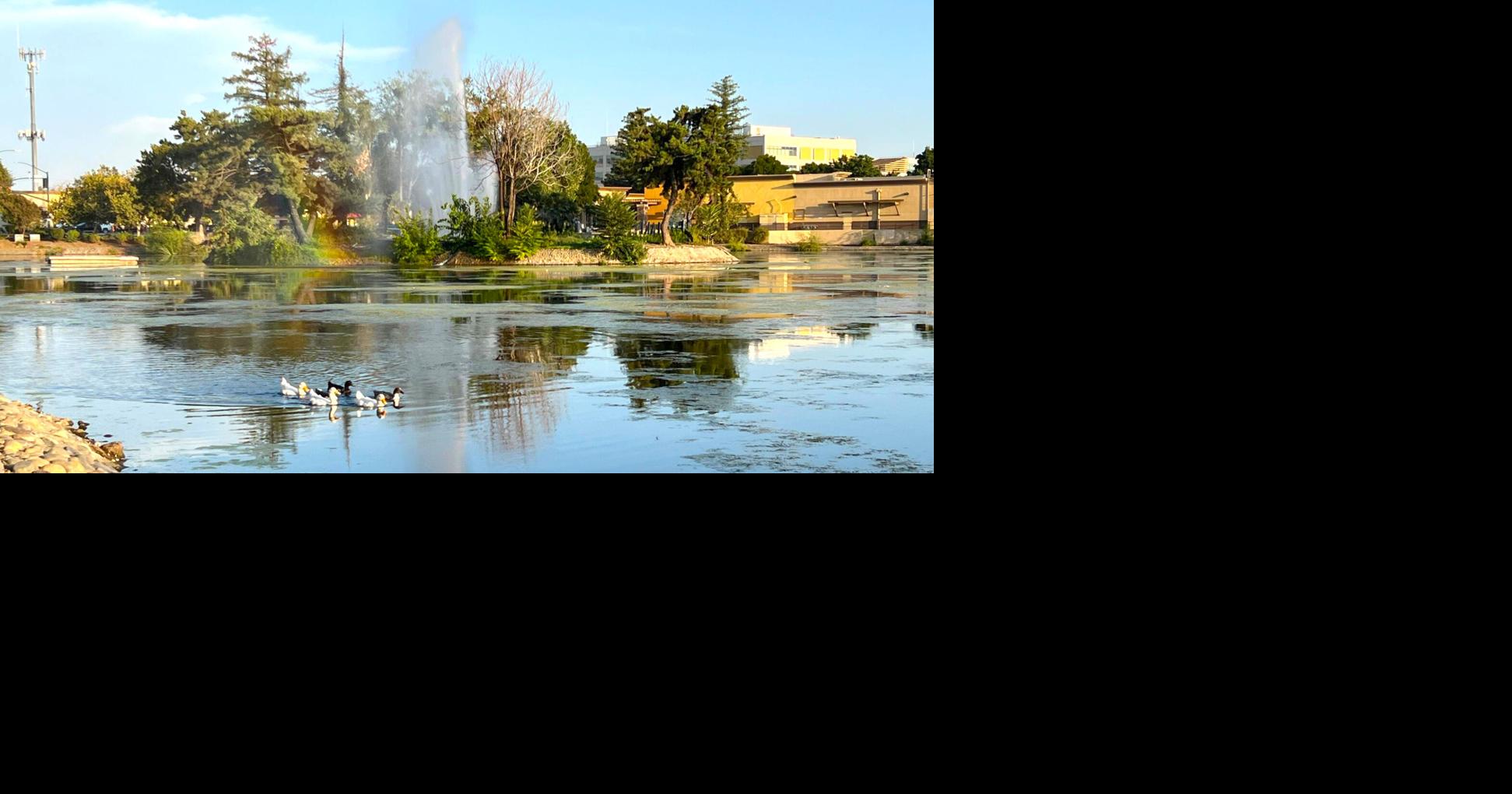 Principal Park Fountain  Waters Edge Aquatic Design
