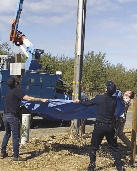 Cat rescue