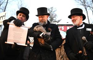 Punxsutawney Phil sees his shadow--six more weeks of winter