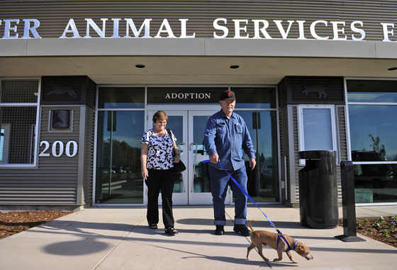 Rough journey to open Sutter animal shelter | Local News |  