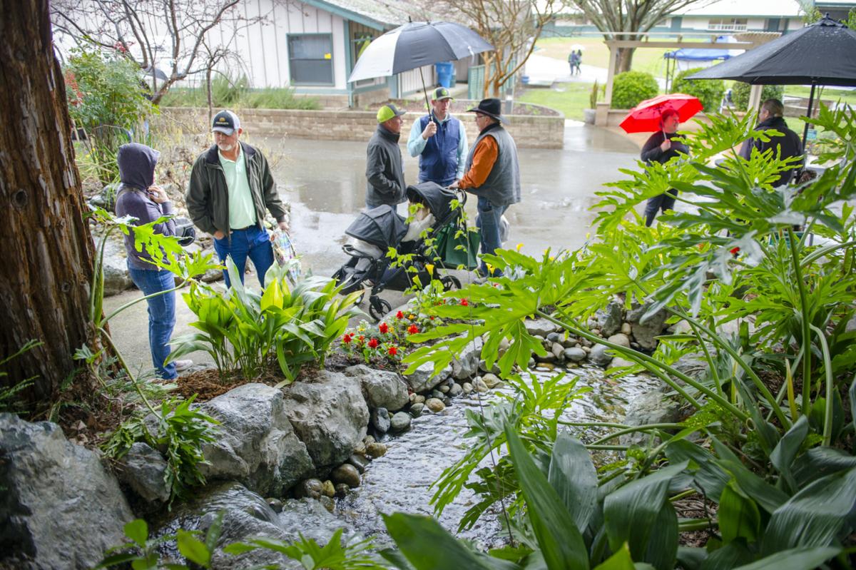 Rain has little impact on Home & Garden Show | News ...