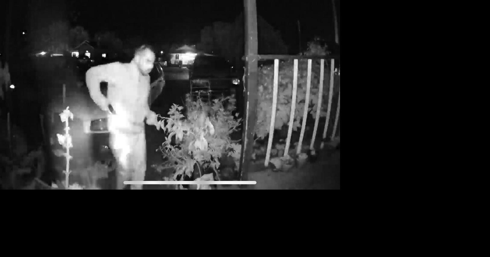 Police seek help in identifying man with gun | News Capsules | appeal ...