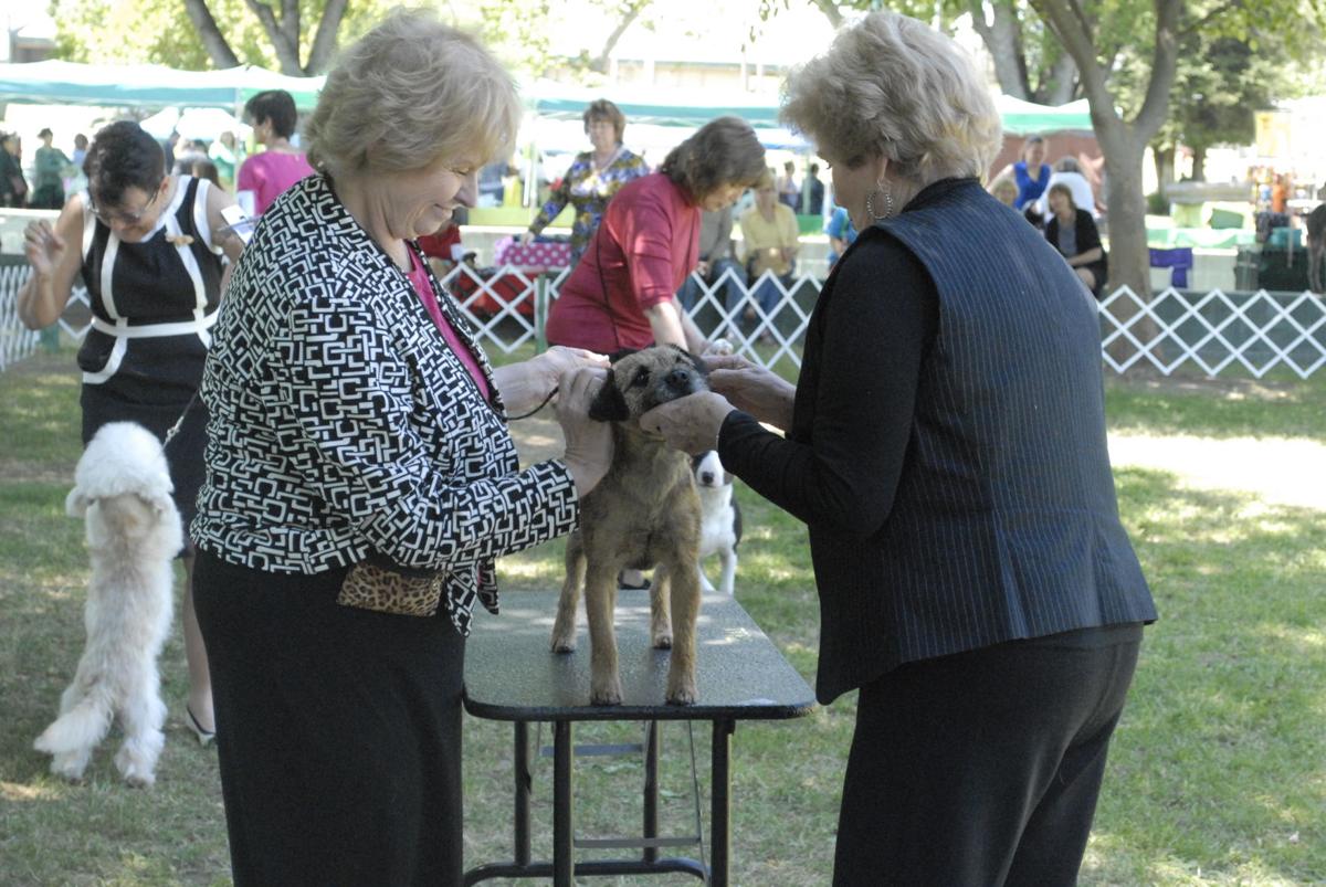 Fairgrounds go to the dogs for annual show News