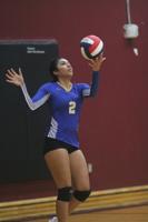 VOLLEYBALL: Local players receive all-league spots