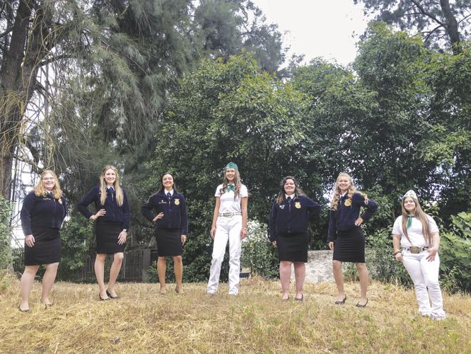 Seven awarded scholarship named after Margery Magill News appeal