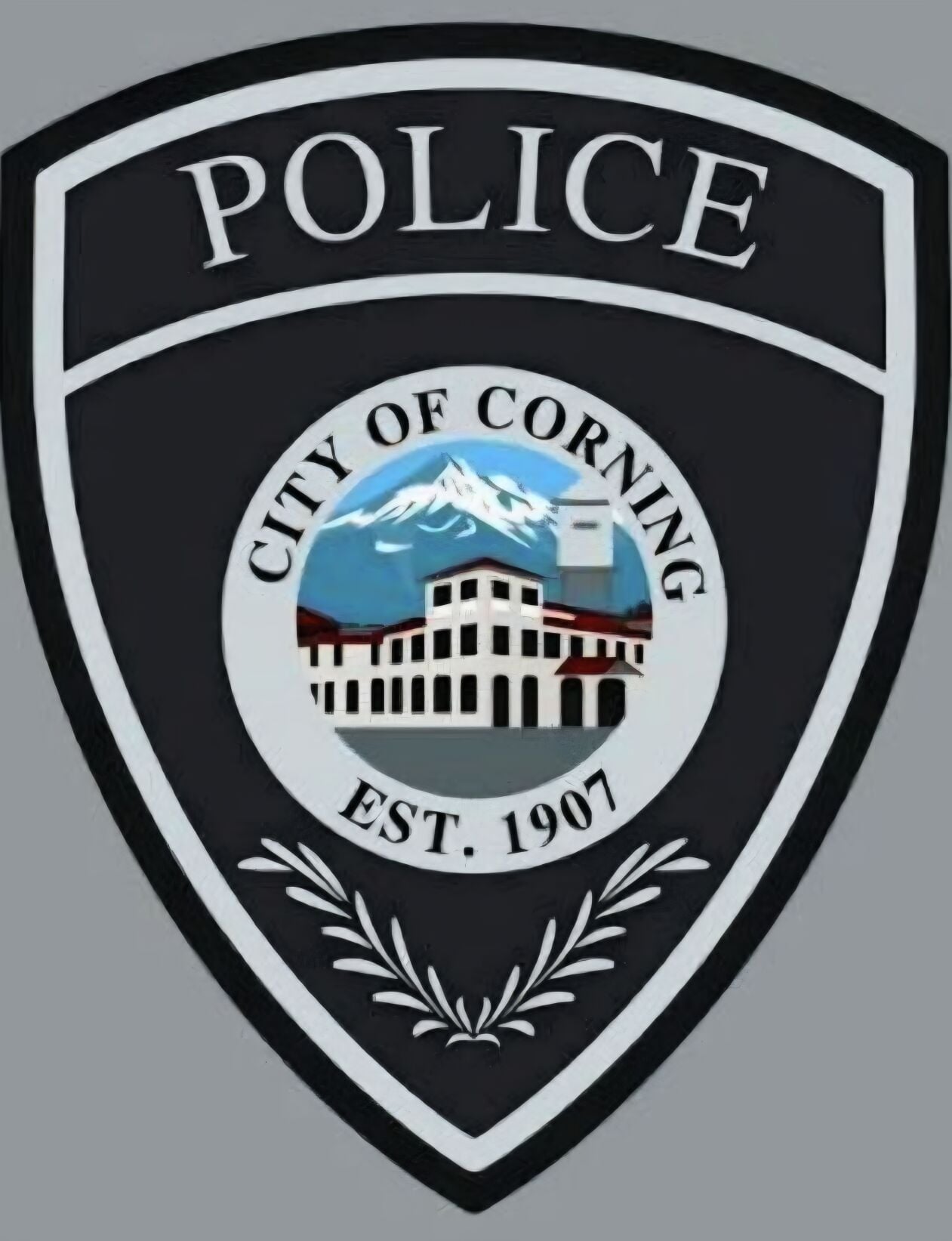 Vip Busy Corning Police reports a busy week | Corning Observer | appeal-democrat.com