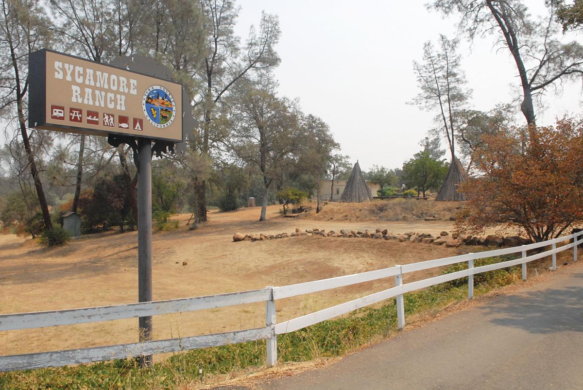 Sycamore Ranch on track to be selfsufficient News