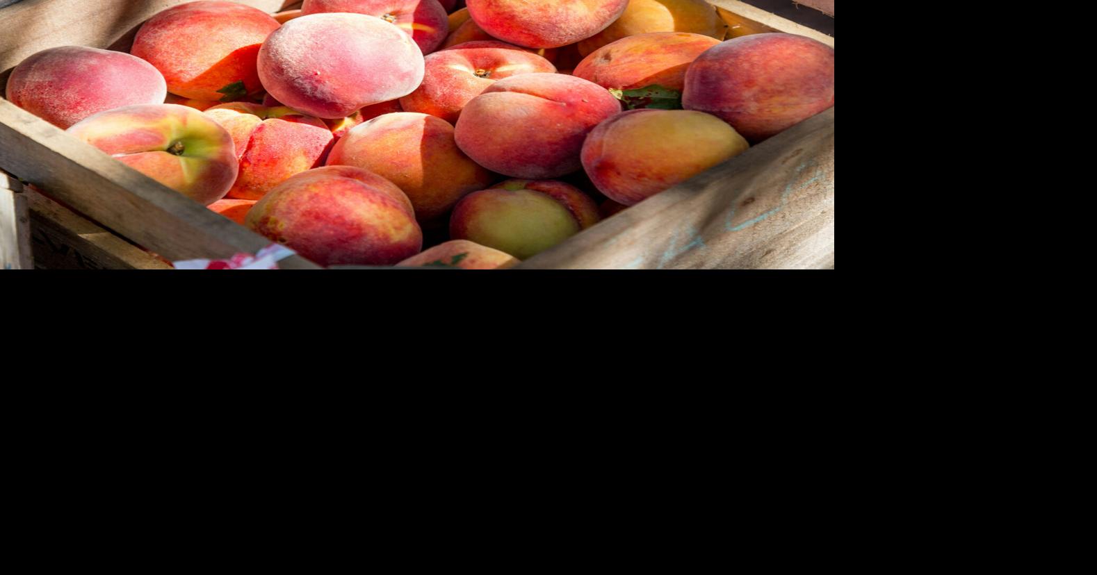 Federal funding applications for peach tree removals in Yuba-Sutter due by Sept. 1