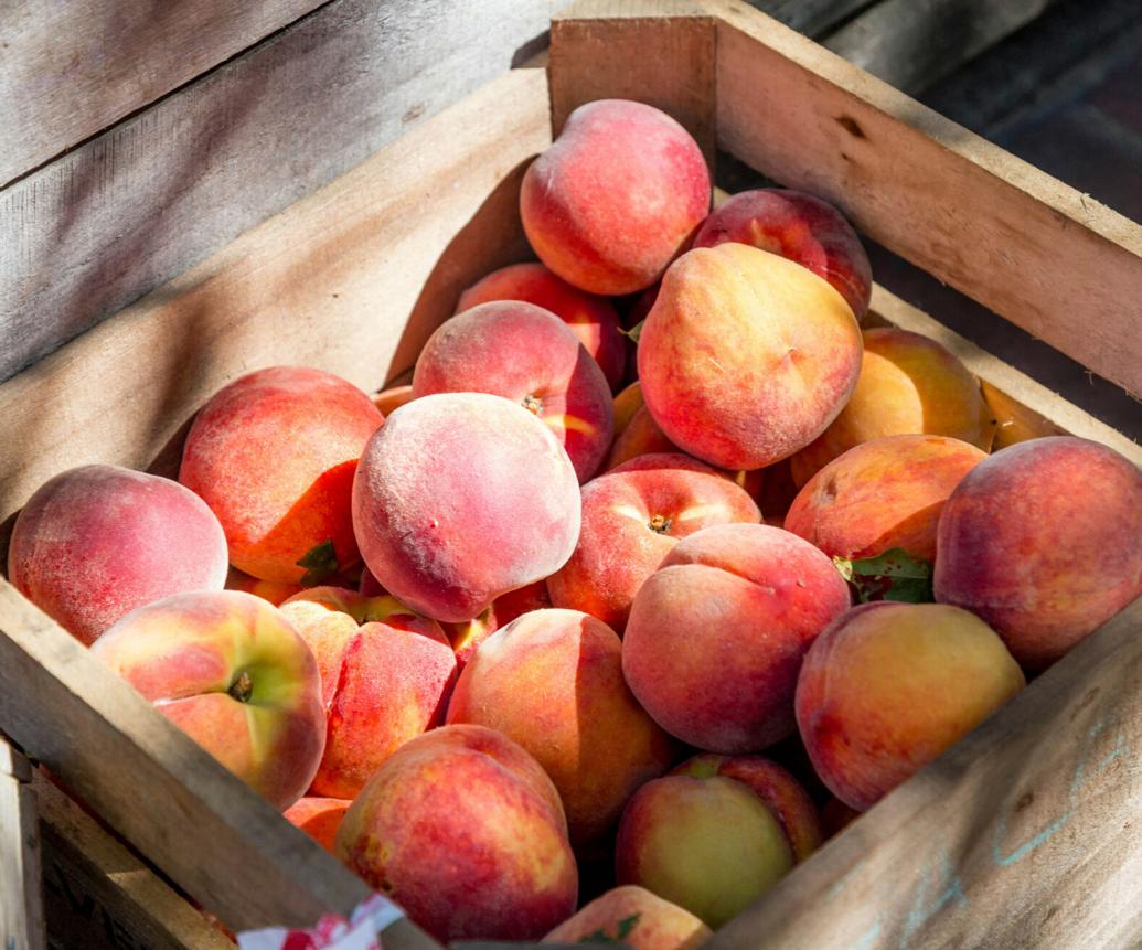 Federal funding applications for peach tree removals in Yuba-Sutter due ...