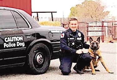 corning police blaze canine democrat appeal malinois chase belgian corry officer partner month his old