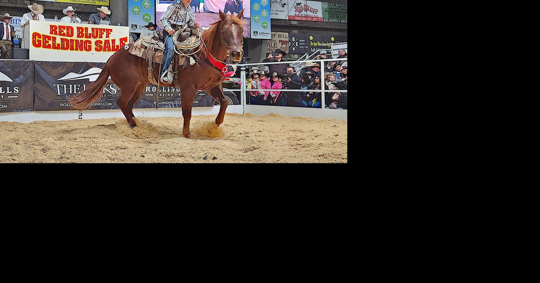 Red Bluff Bull and Gelding Sale ropes in success Corning Observer