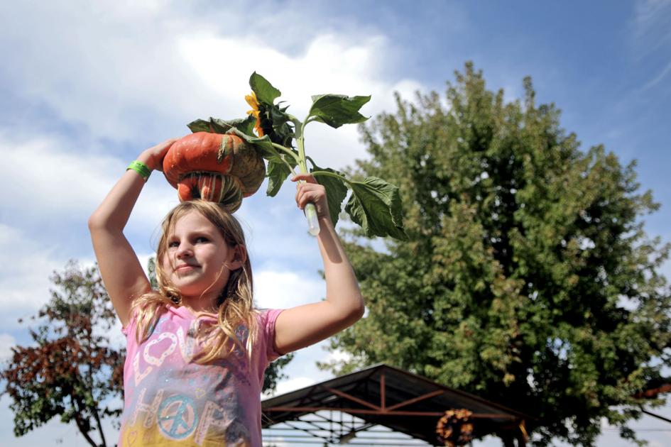 Bishop's Pumpkin Farm opens for the season | News | appeal ...