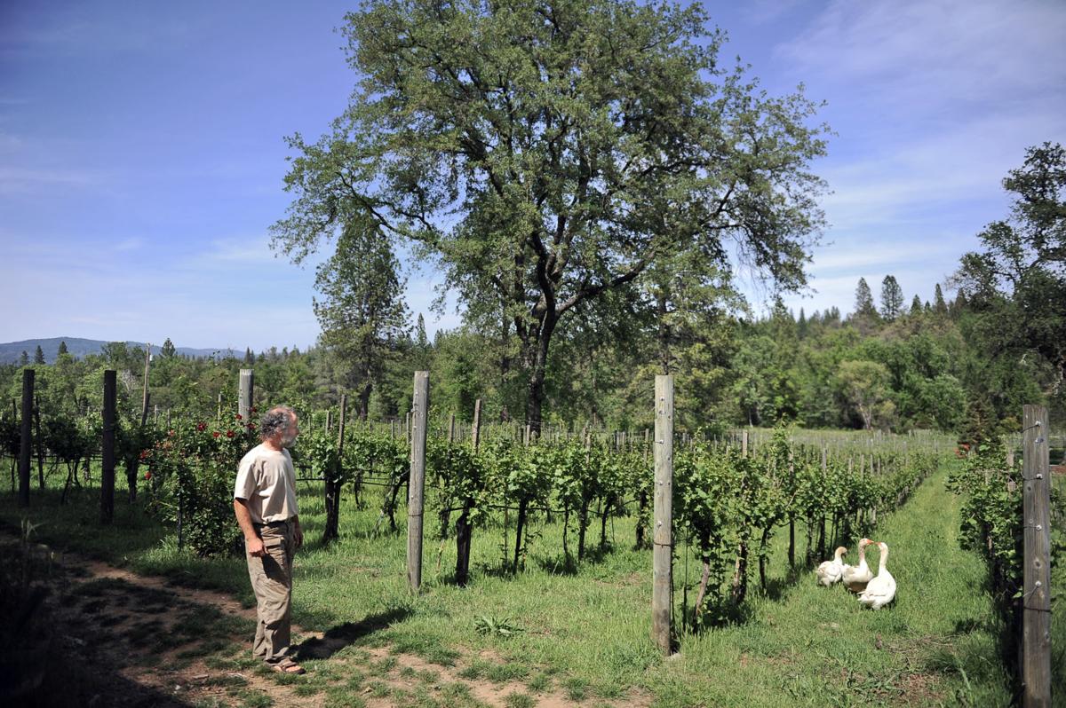 Wine Trail This Weekend News Appeal Democrat Com