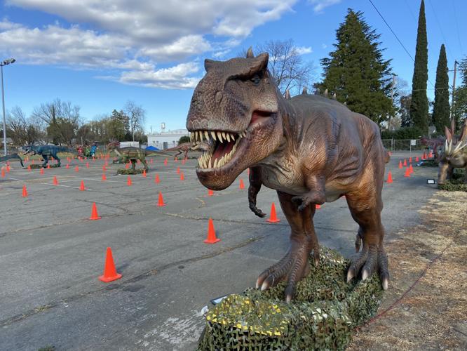 Dinosaurs