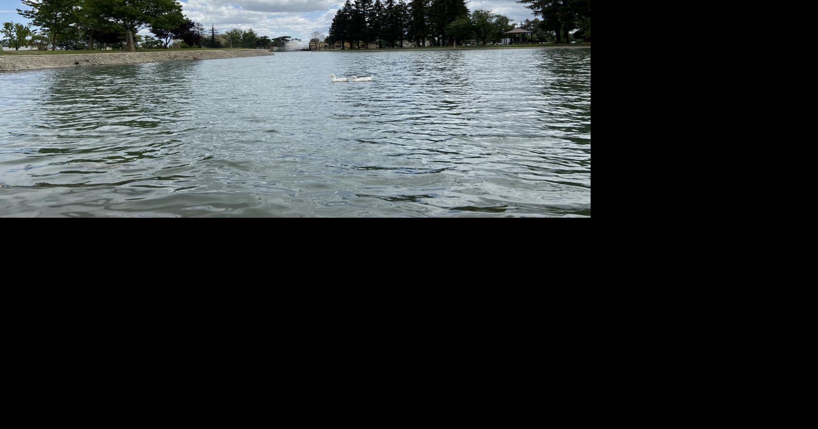 Schaad gives update on Ellis Lake improvements | News | appeal-democrat.com