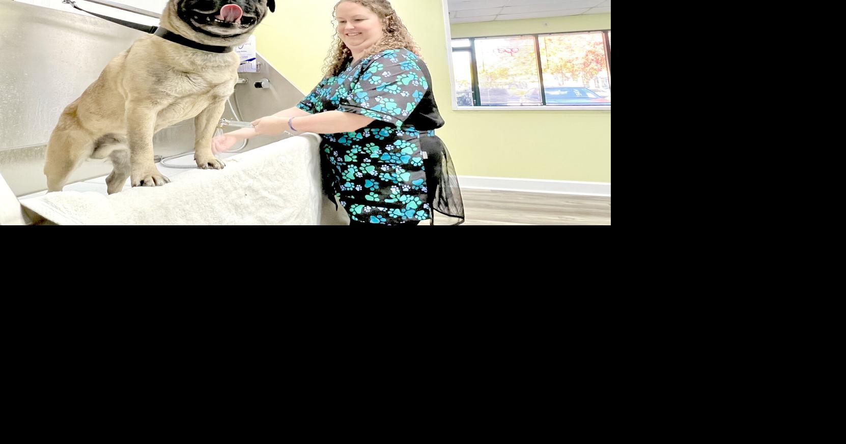 Where the pretty pets go New grooming facility opens in Yuba City